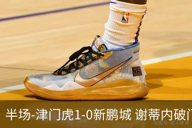 半场-津门虎1-0新鹏城 谢蒂内破门巴顿长传送助攻戴伟浚伤退